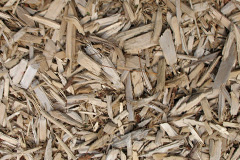biomass boilers Cairneyhill